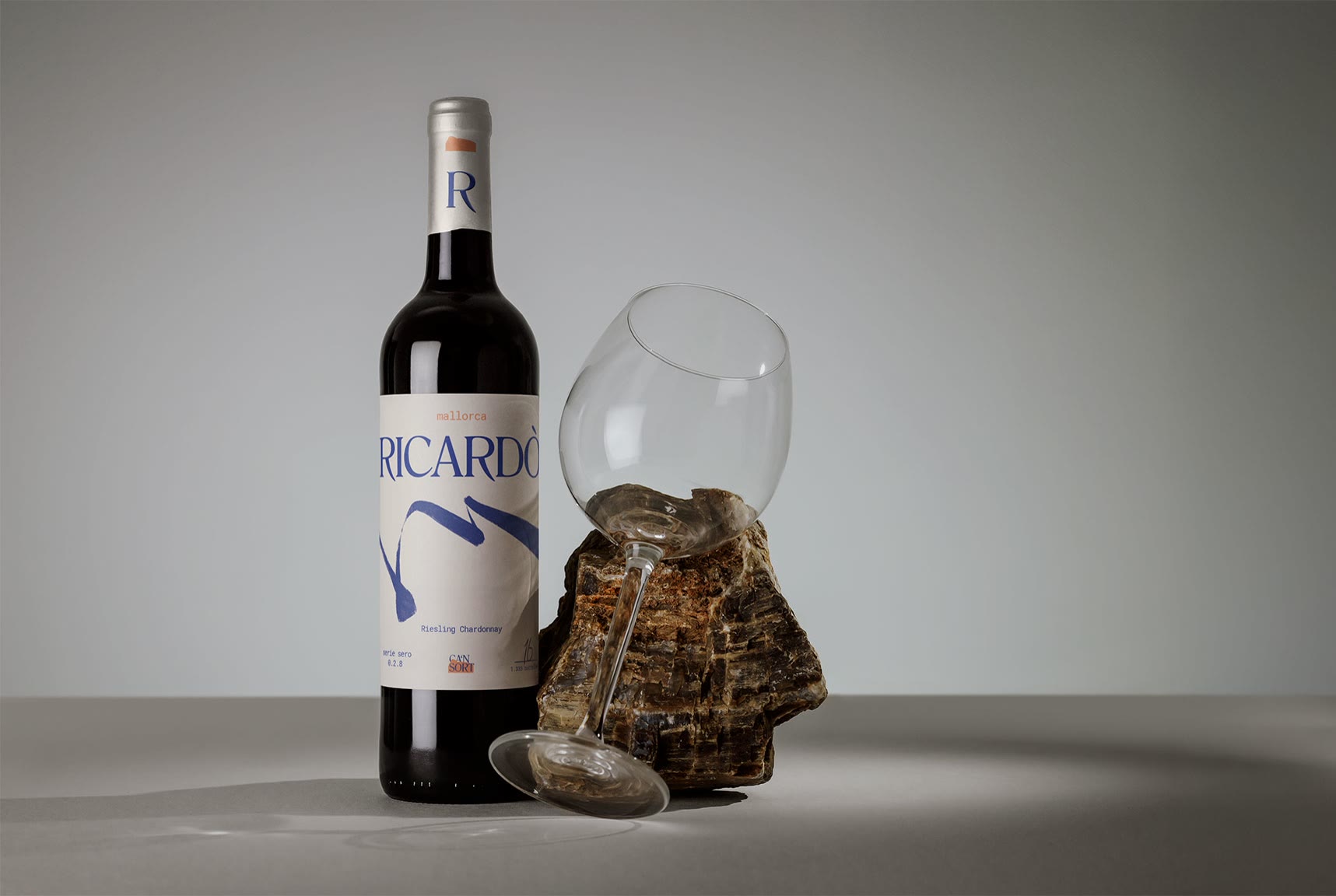 CA’N SORT, Ricardo mit Glas