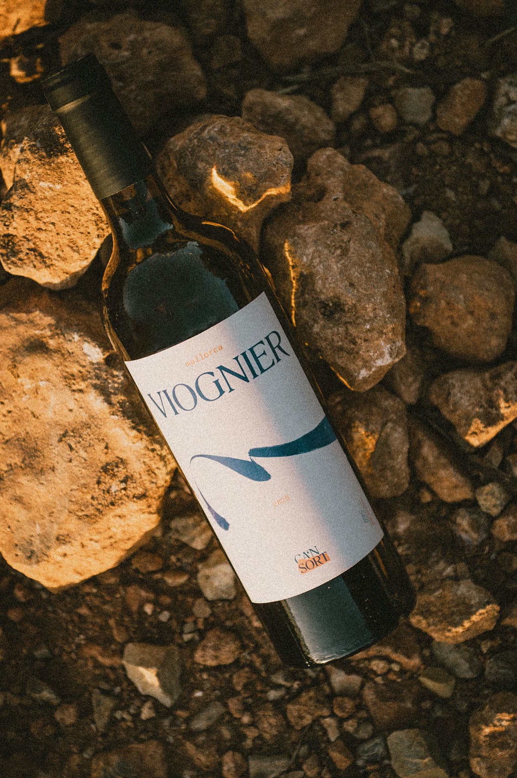 CA’N SORT, Viognier auf Steinen