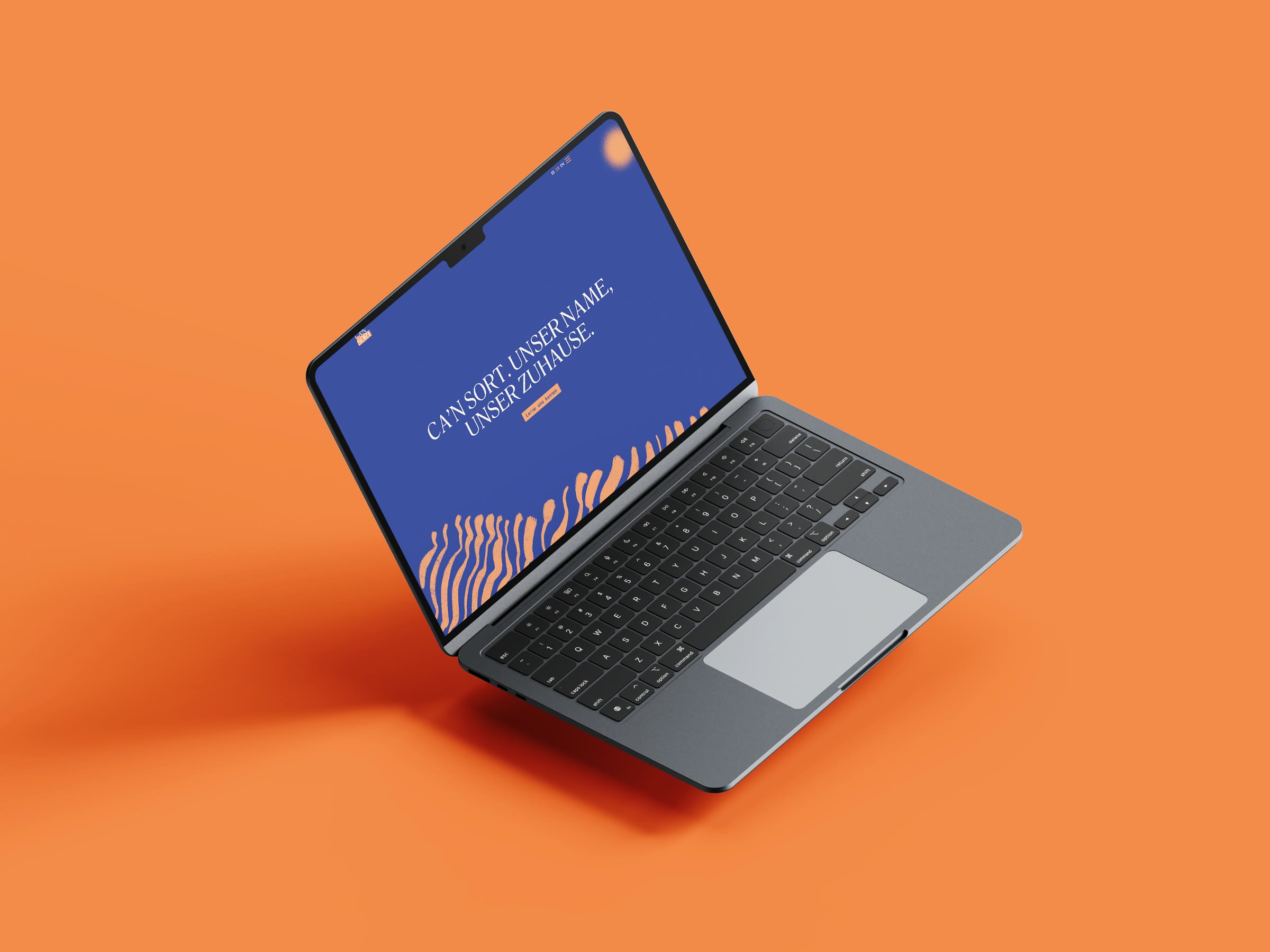 CA’N SORT, Website auf dem Laptop