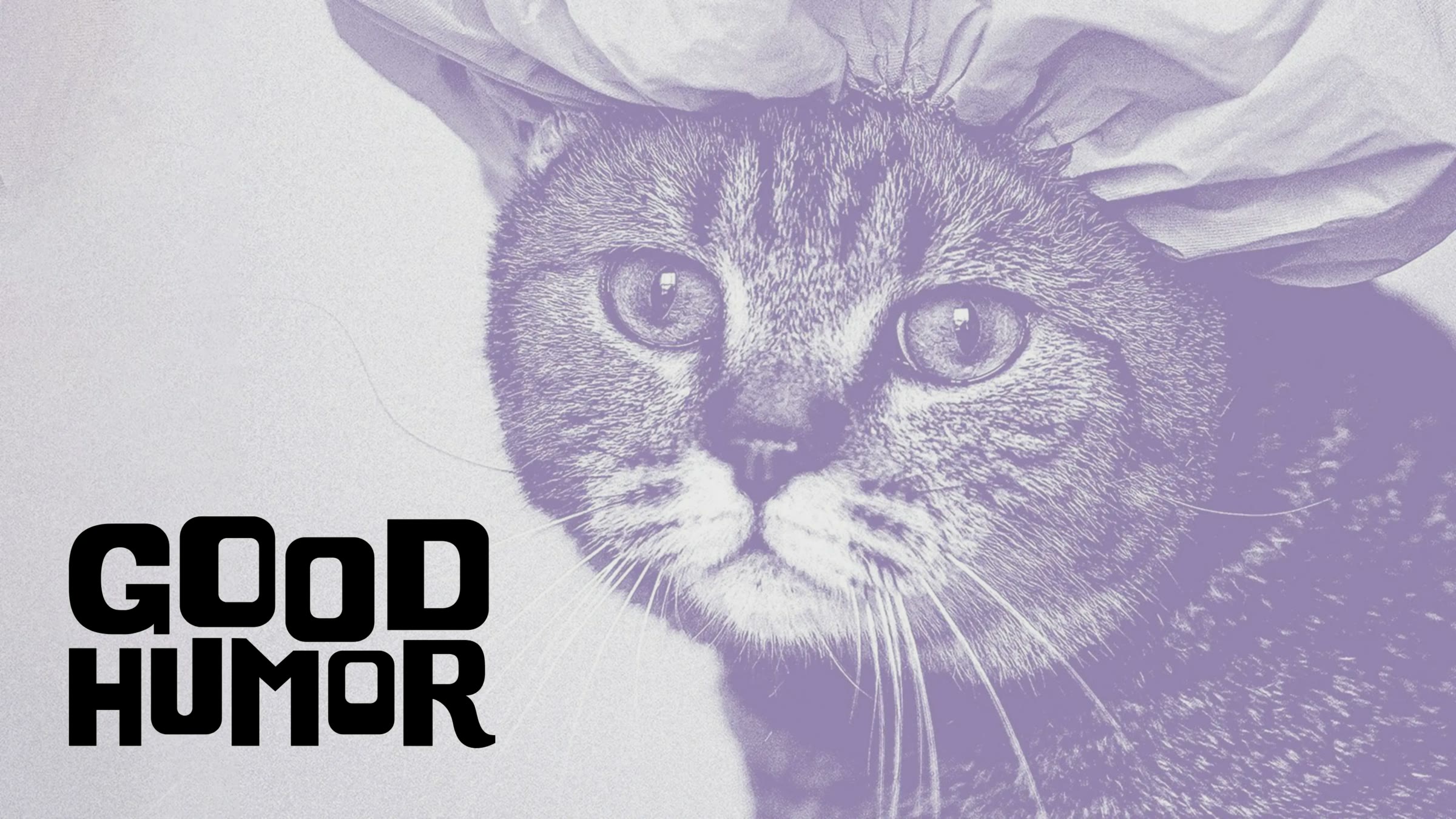 Good Humor, Keyvisual mit Katze in Flieder und Wortmarke