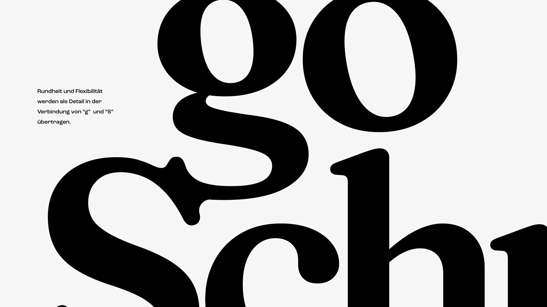 Typografisches Detail der goSchneider Wortmarke