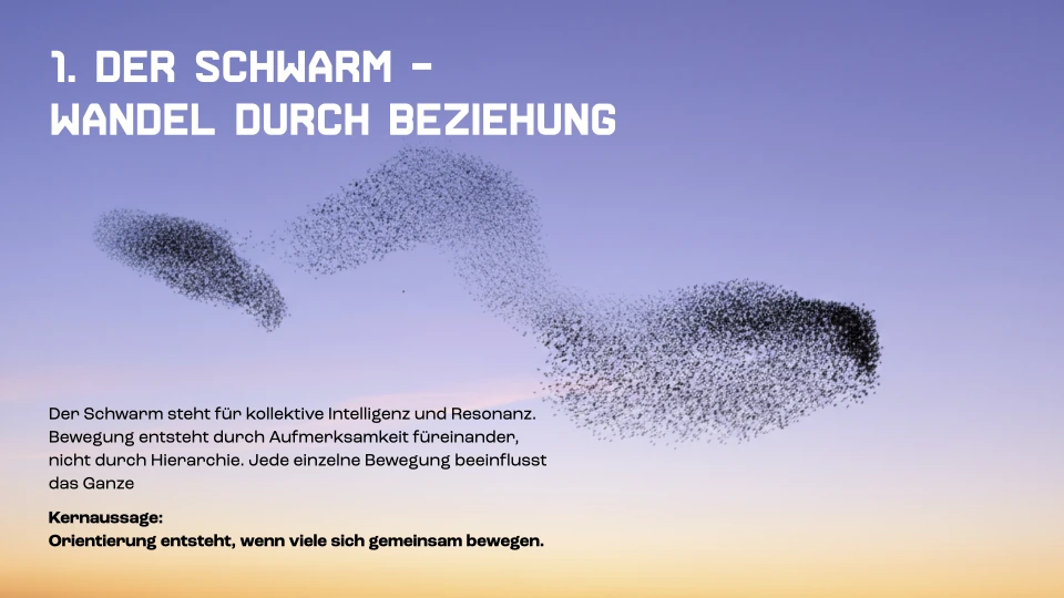 Präsentationsfolie 018: Der Schwarm – Wandel durch Beziehung
